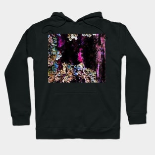 Magnificent tree lichen Hoodie